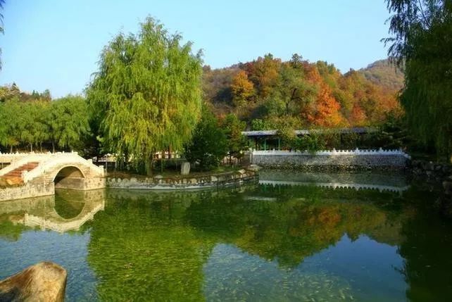 來大楊山國家森林公園邂逅真正的秋天