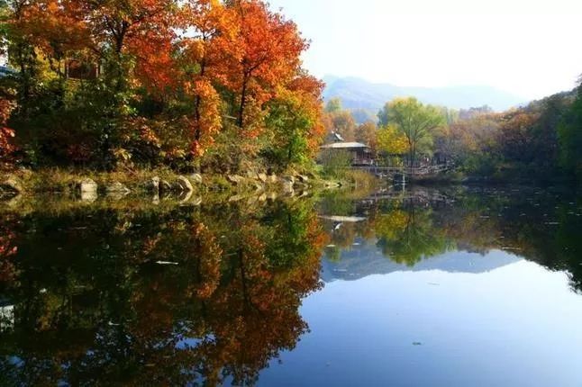 來大楊山國家森林公園邂逅真正的秋天