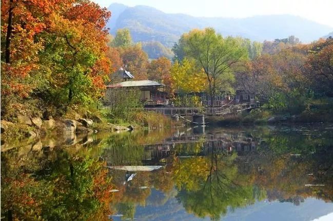 來大楊山國家森林公園邂逅真正的秋天