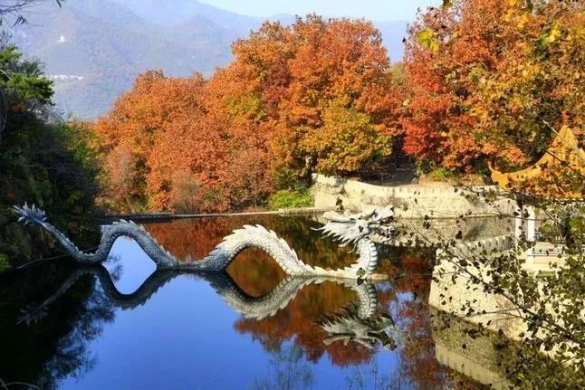 來大楊山國家森林公園邂逅真正的秋天