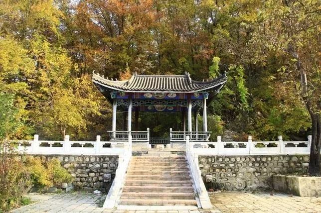 來大楊山國家森林公園邂逅真正的秋天