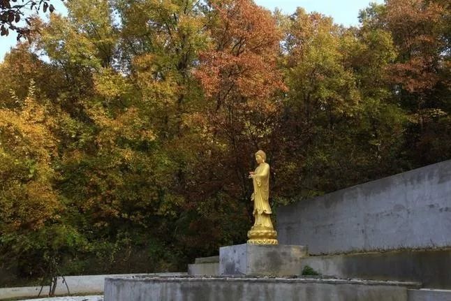 來大楊山國家森林公園邂逅真正的秋天