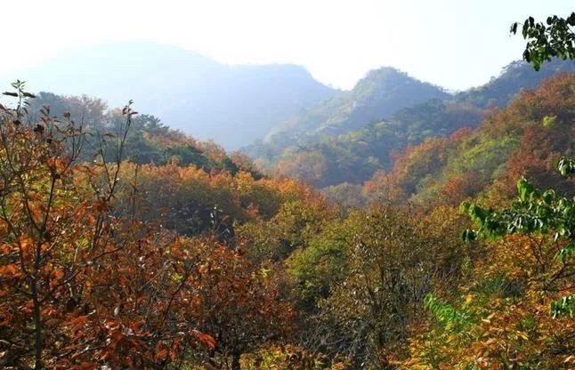 來大楊山國家森林公園邂逅真正的秋天