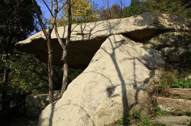 來大楊山國家森林公園邂逅真正的秋天