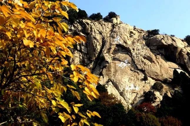 來大楊山國家森林公園邂逅真正的秋天