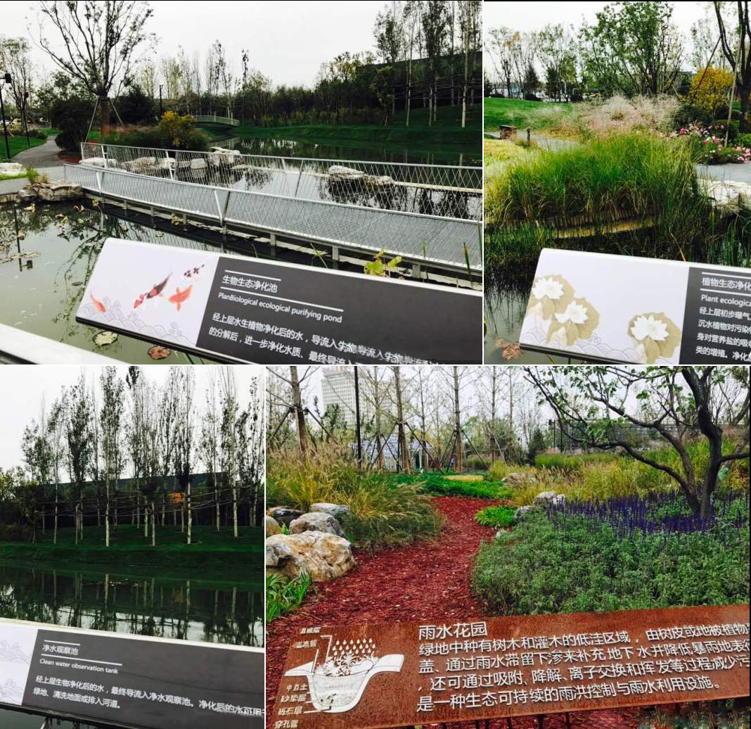 2017北京龍湖景觀高峰論壇走進高碑店列車新城國家綠色智慧園區