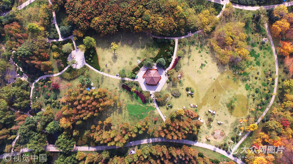 航拍濟南森林公園 色彩如油畫鮮亮