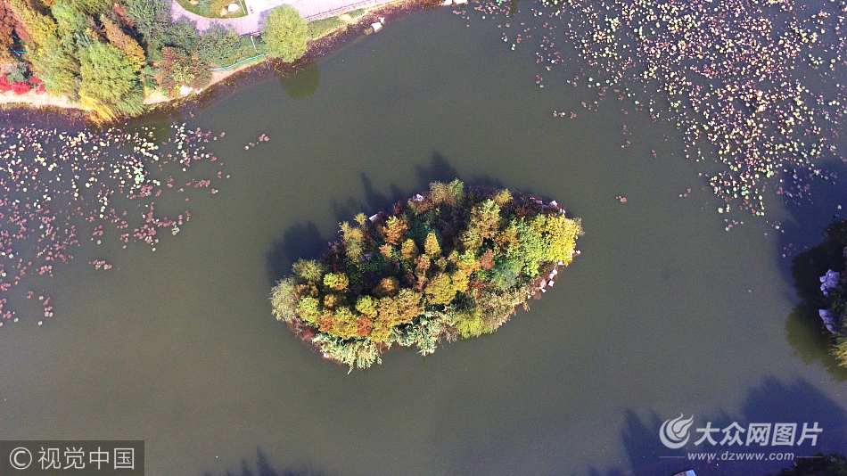 航拍濟南森林公園 色彩如油畫鮮亮