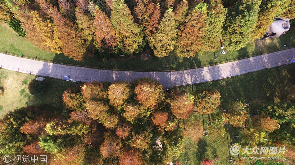 航拍濟南森林公園 色彩如油畫鮮亮