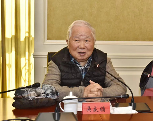 95歲高齡吳良鏞院士一行到雄安新區考察