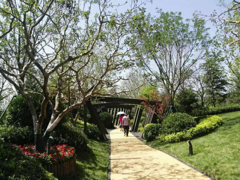 園冶杯專業(yè)獎:濟(jì)南萬科龍湖城市之光施工