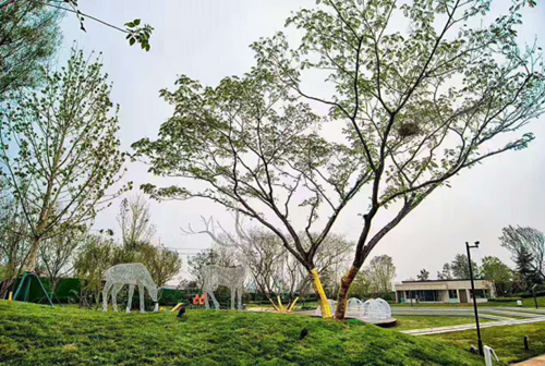 園冶杯專業(yè)獎:濟(jì)南萬科龍湖城市之光施工