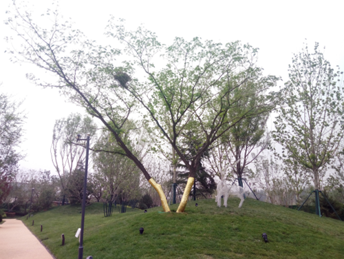 園冶杯專業(yè)獎:濟(jì)南萬科龍湖城市之光施工