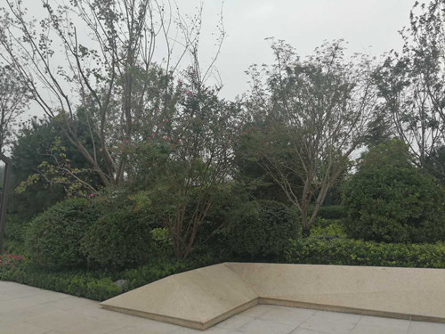 園冶杯專業(yè)獎:濟(jì)南萬科龍湖城市之光施工