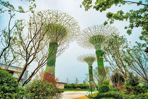 園冶杯專業(yè)獎:濟(jì)南萬科龍湖城市之光施工