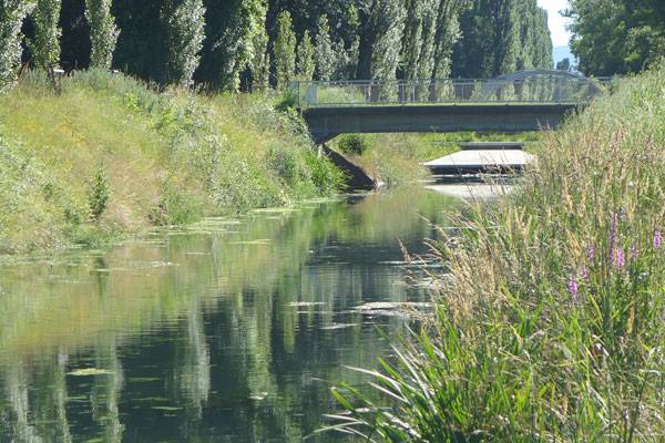 讓被廢棄的河流煥發(fā)新生的景觀設(shè)計方案