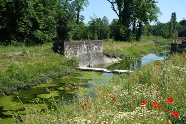 讓被廢棄的河流煥發(fā)新生的景觀設(shè)計方案