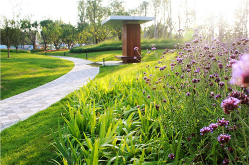 園冶杯專業獎：固安中央公園景觀設計