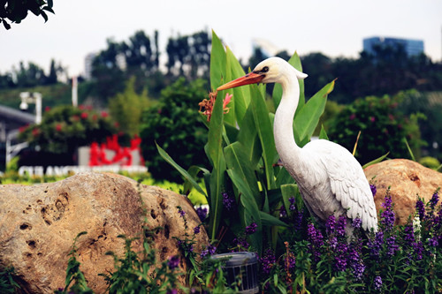 園冶杯專業(yè)獎(jiǎng):廈門郵輪母港城景觀提升設(shè)計(jì)