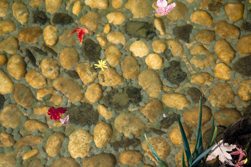 園冶杯專業(yè)獎:漢口江灘長江二橋至武漢關(guān)景觀提升工程