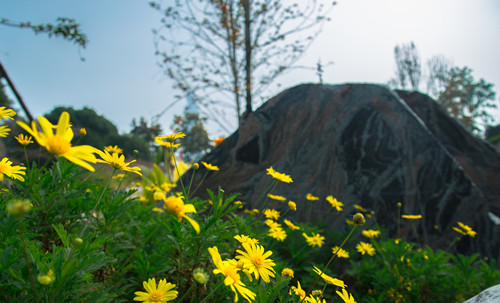 園冶杯專業(yè)獎:漢口江灘長江二橋至武漢關(guān)景觀提升工程