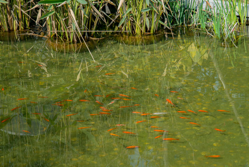 園冶杯專業(yè)獎:漢口江灘長江二橋至武漢關(guān)景觀提升工程