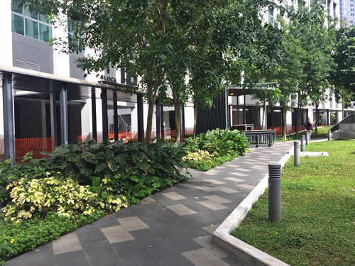 2017新加坡景觀專業考察——領略獅城綠色景觀