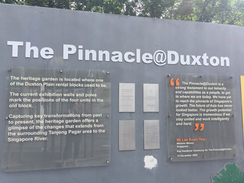 2017新加坡景觀專業考察——領略獅城綠色景觀