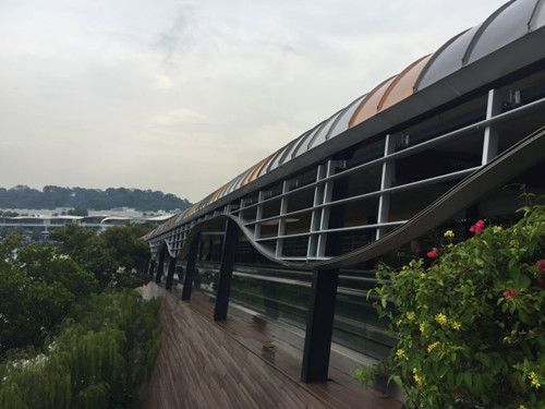 2017新加坡景觀專業考察——領略獅城綠色景觀