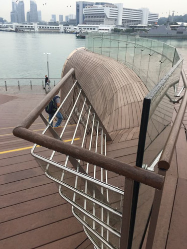 2017新加坡景觀專業考察——領略獅城綠色景觀