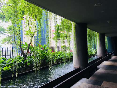 2017新加坡景觀考察——與知名設計機構交流