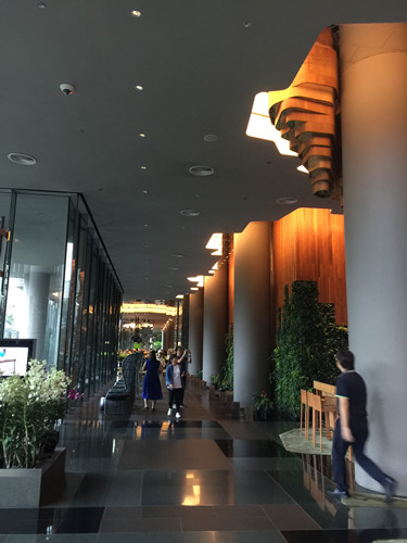 2017新加坡景觀考察——與知名設計機構交流