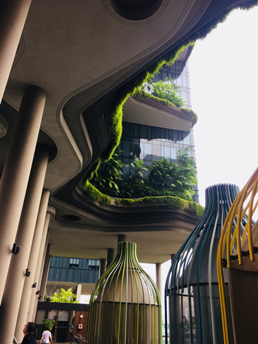 2017新加坡景觀考察——與知名設計機構交流