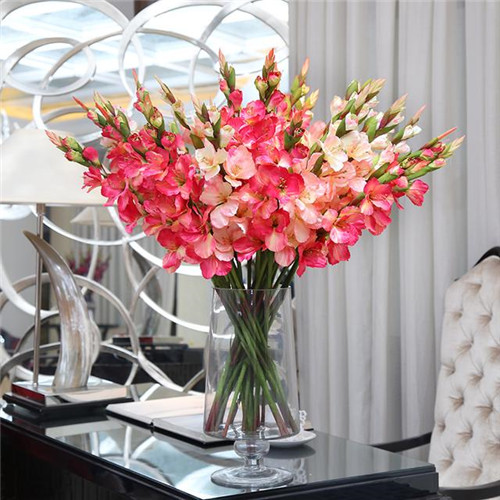 家居花藝風水你留意了嗎