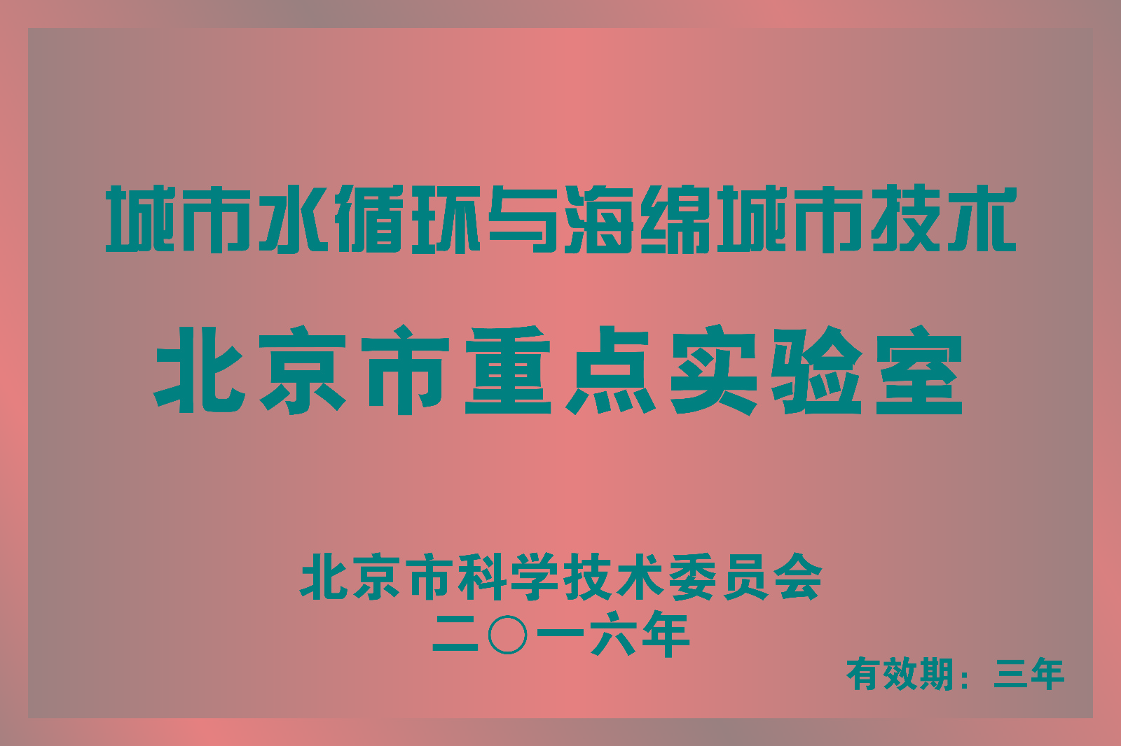城市水文學與海綿城市技術(shù)學術(shù)報告在京舉行