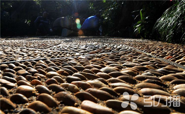 一條園林路，傳承35載父子情