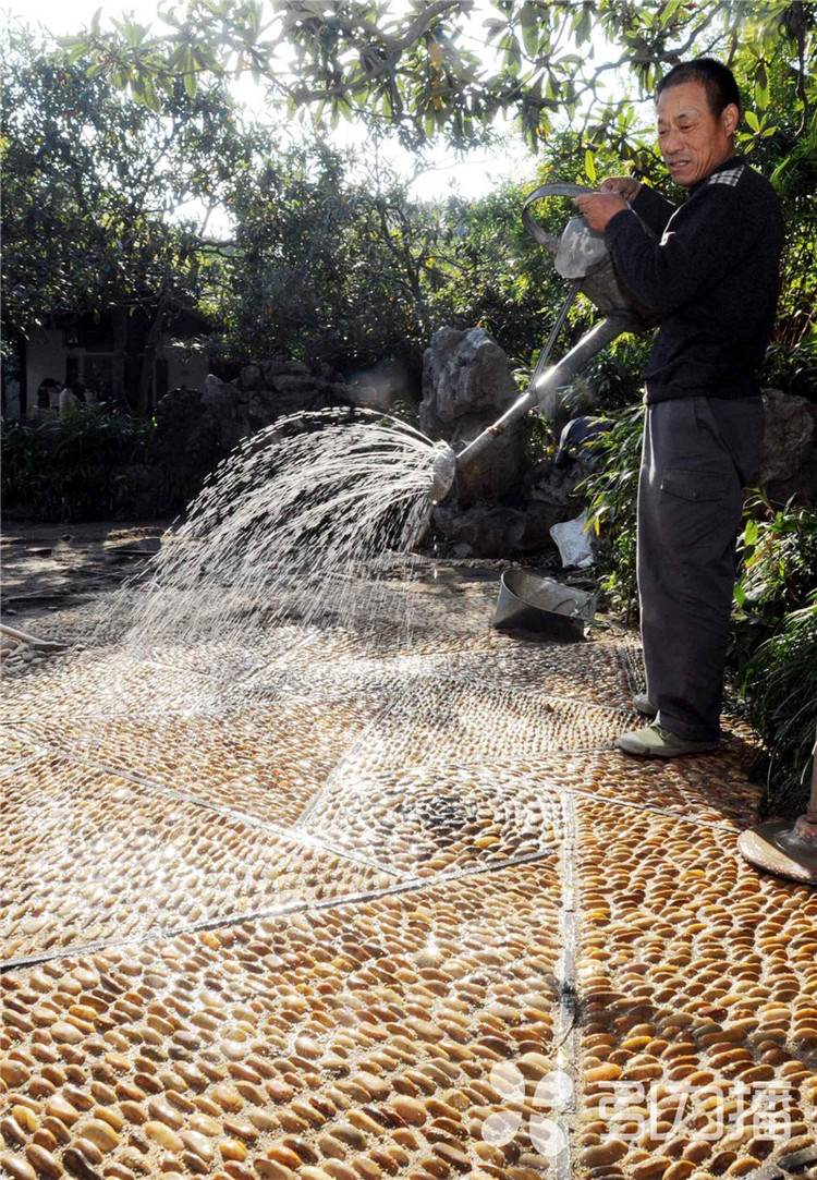 一條園林路，傳承35載父子情