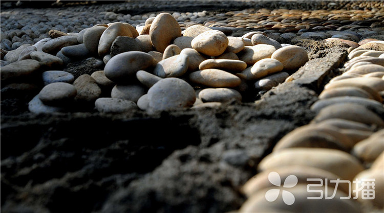 一條園林路，傳承35載父子情