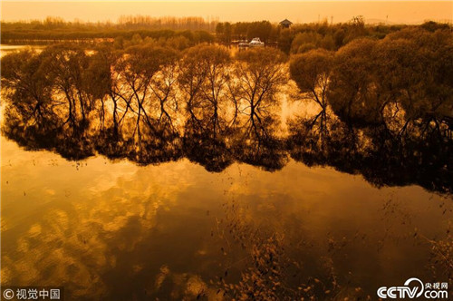 航拍白龜湖國家濕地公園美如畫