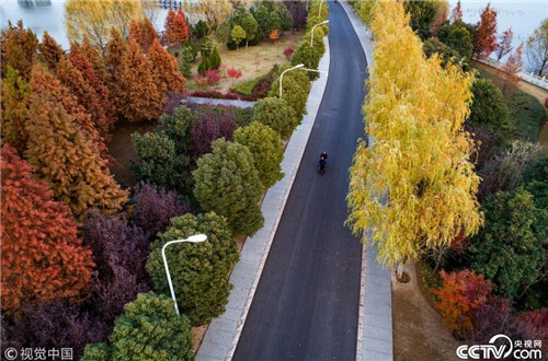 航拍白龜湖國家濕地公園美如畫