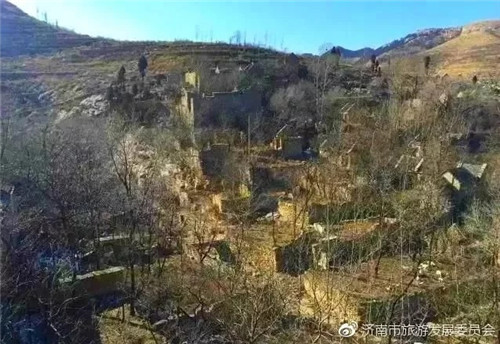 濟南章丘這個古村落里竟藏著顆千年古樹