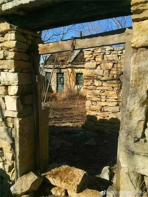 濟南章丘這個古村落里竟藏著顆千年古樹