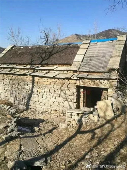 濟南章丘這個古村落里竟藏著顆千年古樹