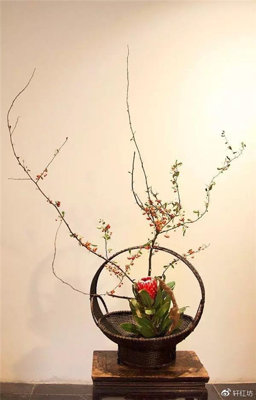 茶道，缺少插花不成雅致