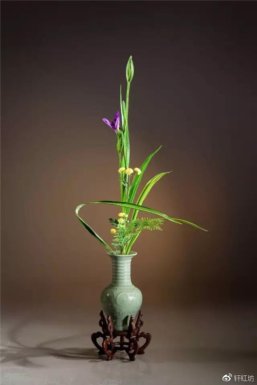 茶道，缺少插花不成雅致