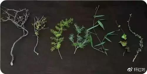 茶道，缺少插花不成雅致