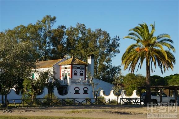 生物多樣性的范本 多南那國家公園