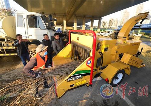 湖北襄陽:園林局引進樹枝粉碎機