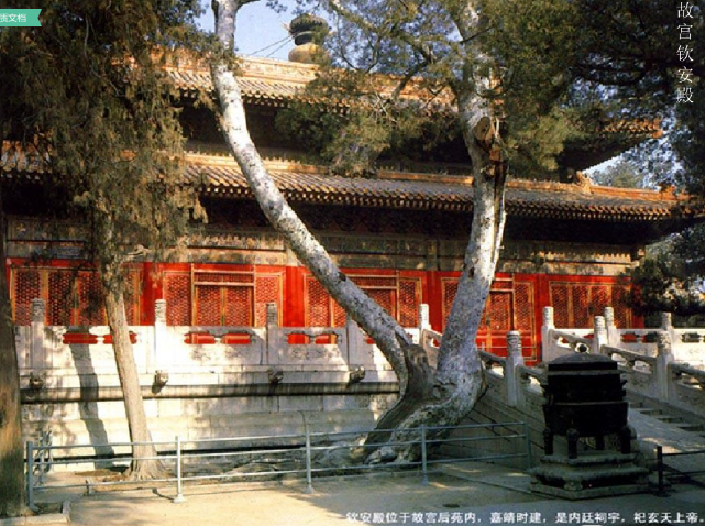 宮殿建筑（下）