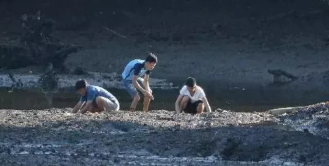 新加坡自然保護(hù)區(qū)的貝殼不要撿，會(huì)被罰款